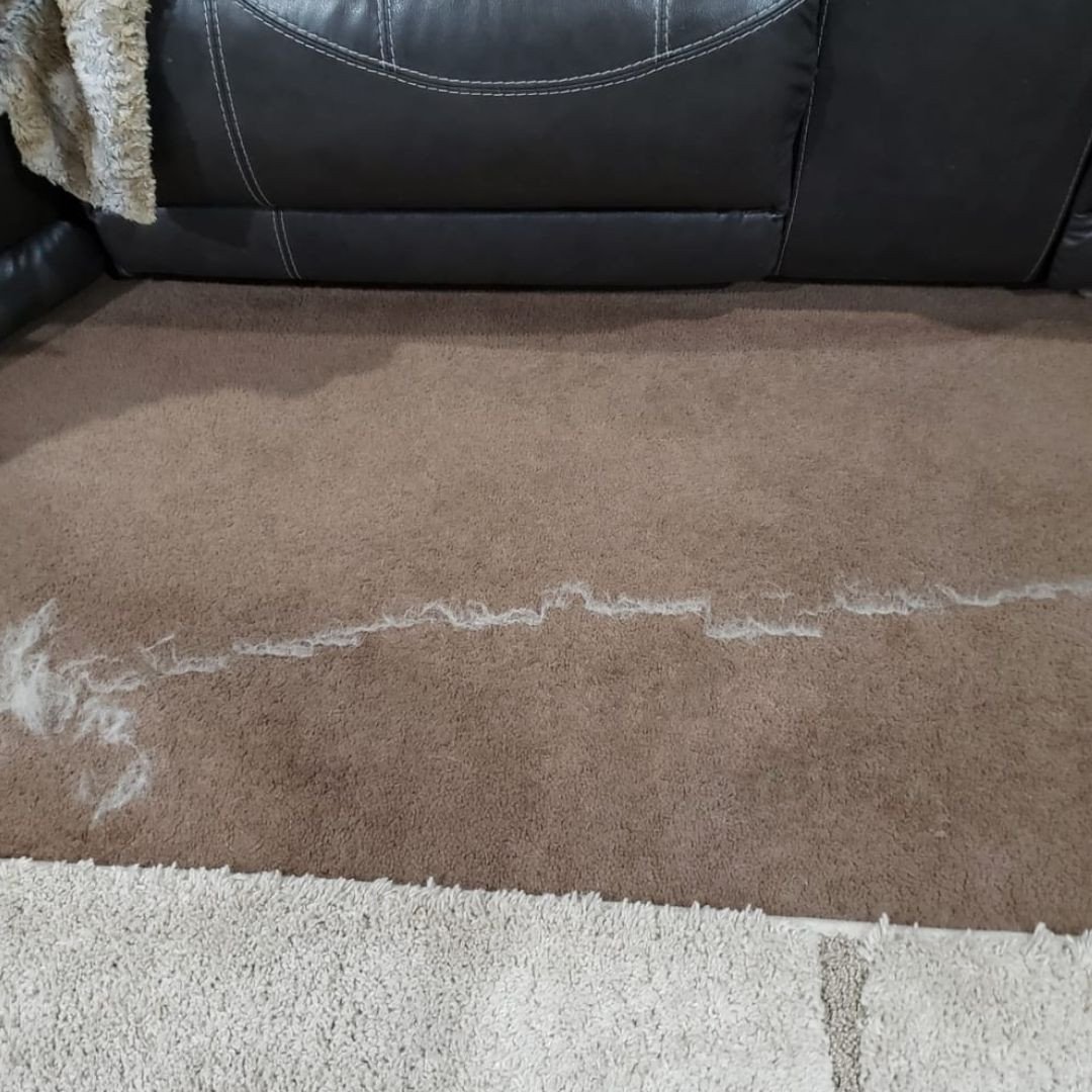 Large Lint & Pet Hair Remover