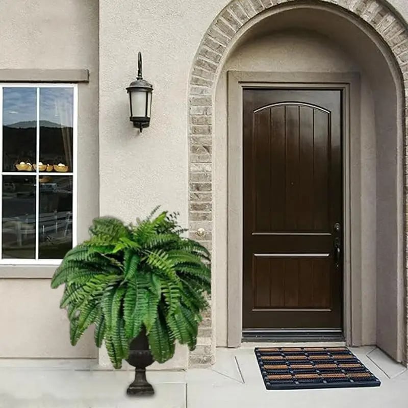 Giant Boston Fern Bush - Magnolias