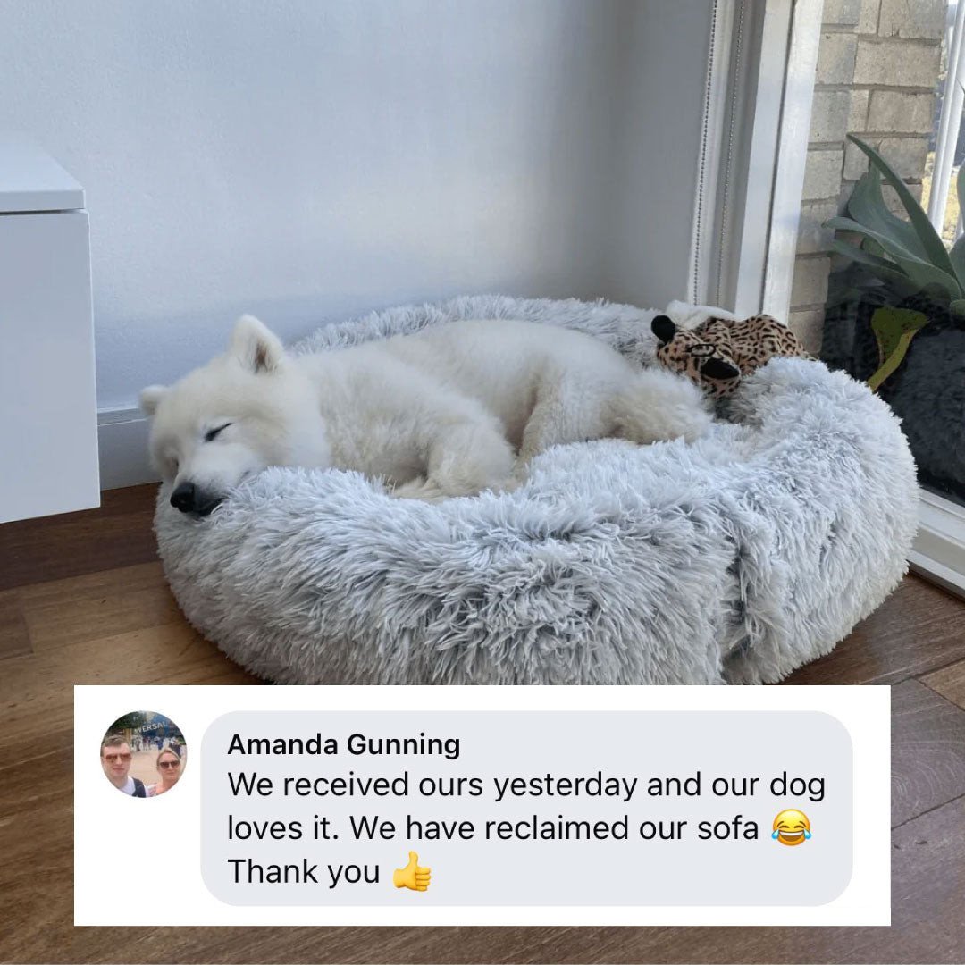 Calming Dog Bed