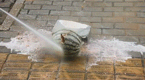 Cordless Portable High Pressure Spray Water Gun