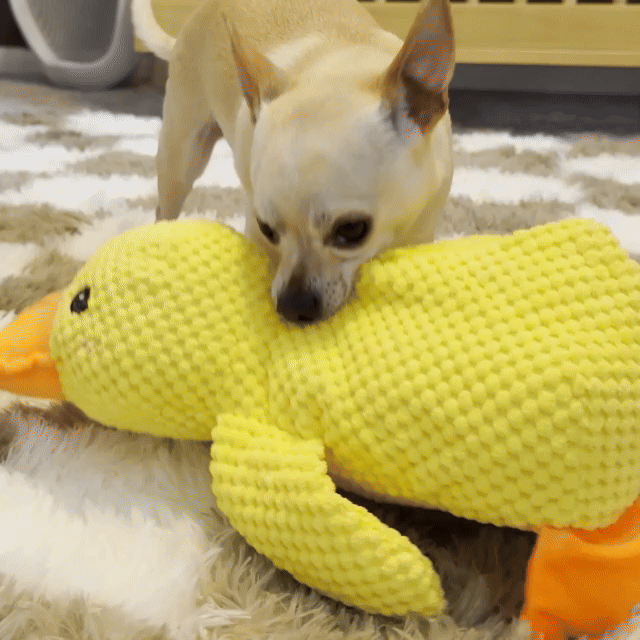 Calming Duck Toy （✔️ Non-toxic Chew-resistant Fabric)