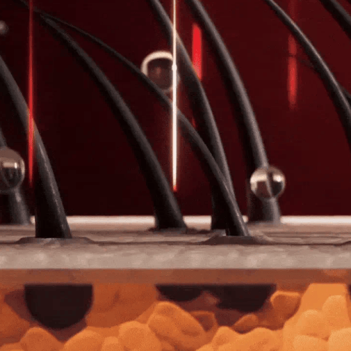 Maxibelle Deep Scalp Massager & Red Light Therapy