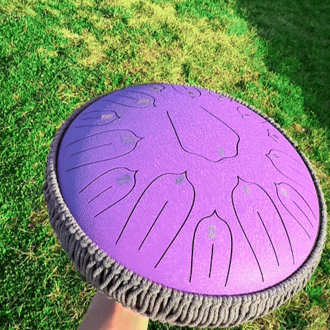 Equidrum™ 528hz With Accessories + Bonuses - Stamny