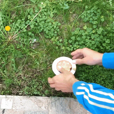 Solagarden™ Led Ground Light Pack