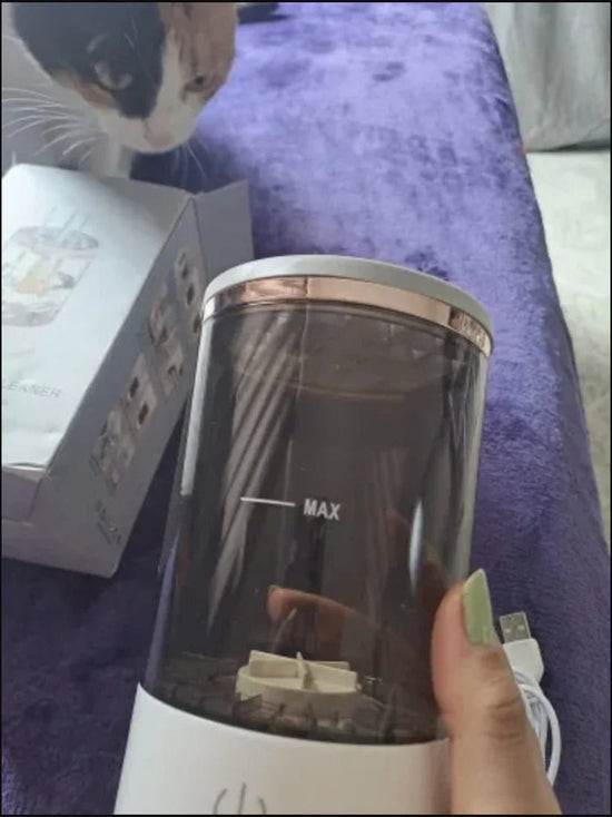 Cosmetic Brush Cleaner