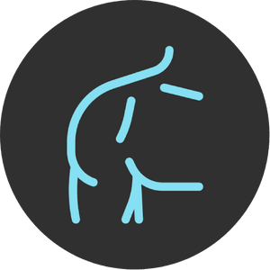 Advanced Full Body Strength & Muscle Builder