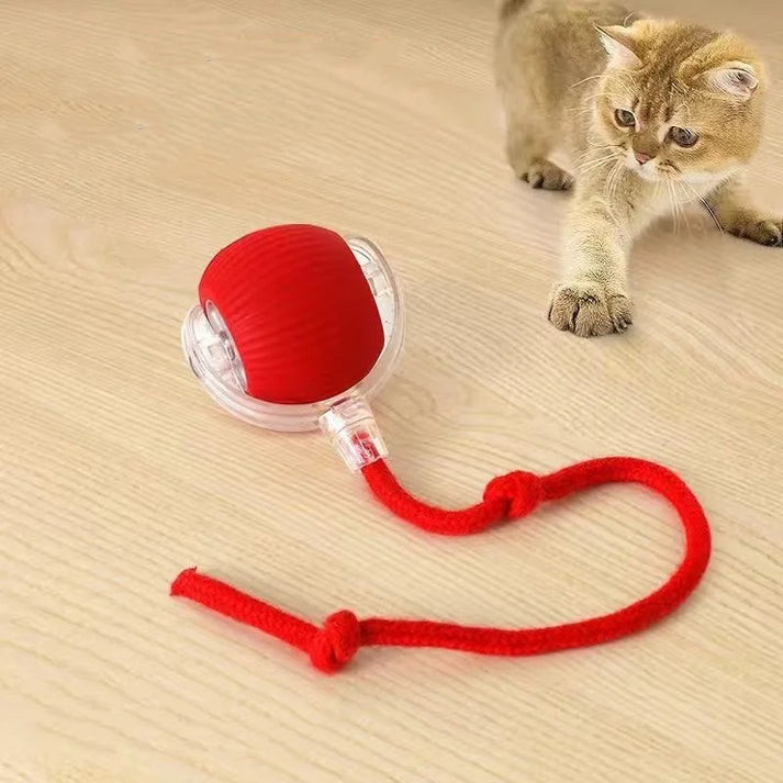 Rechargeable Intelligent Teasing Cat & Dog Ball
