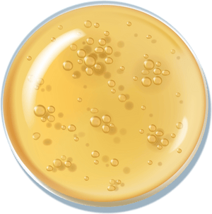 Tighten & Lift Neck Cream - Gopure Beauty