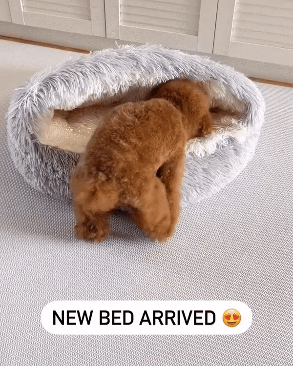 Snugpaws™- As Seen On Tiktok And Ig!