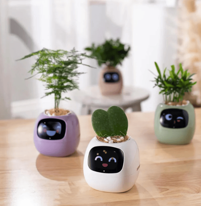 Happy Planter - Happy Plantr