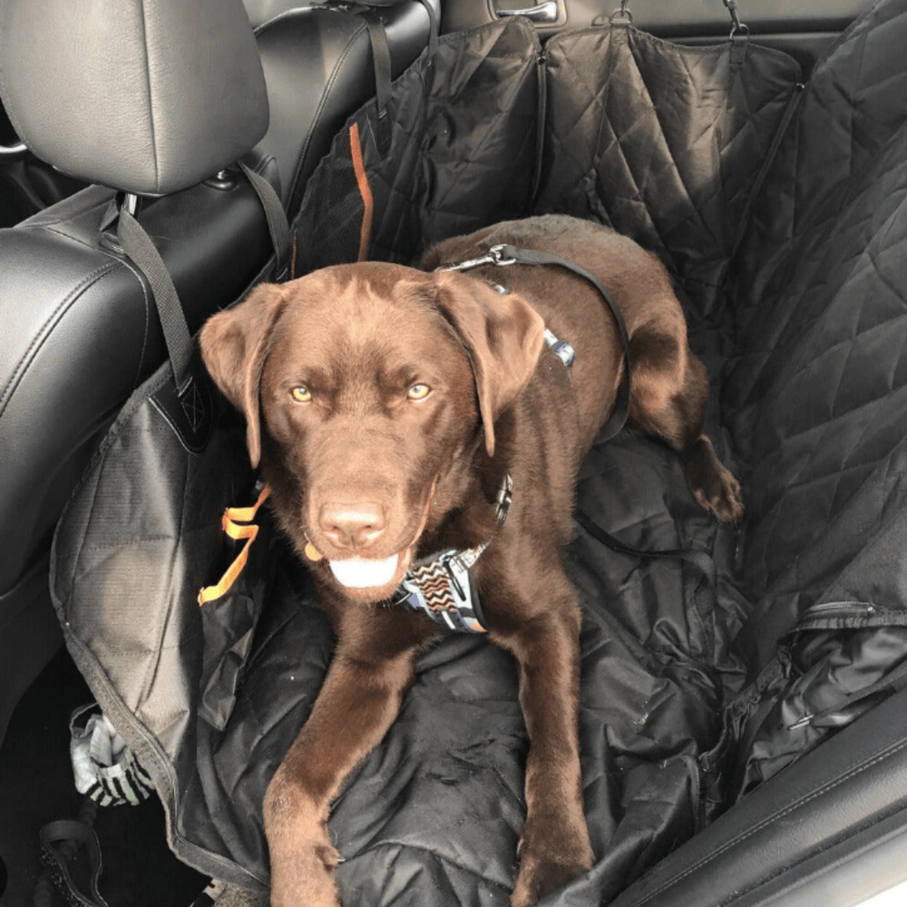 Marlo&co.™ Dog Seat