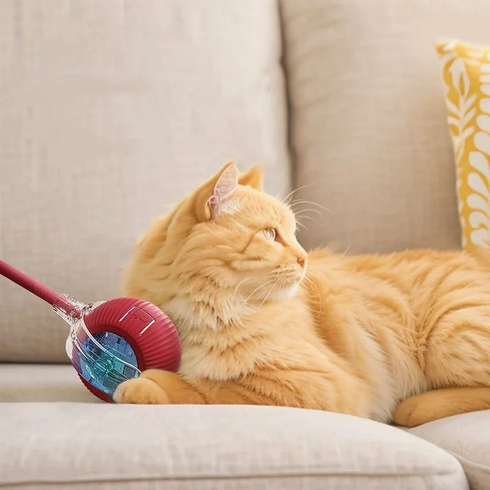 Rechargeable Intelligent Teasing Cat & Dog Ball