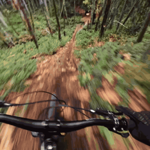 Nexpro S1 - Nexography