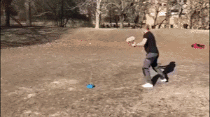 Tennis Practice Device - Ever Prime