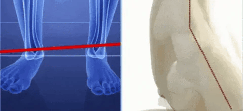 Veiggara | Premium Comfort Sandals