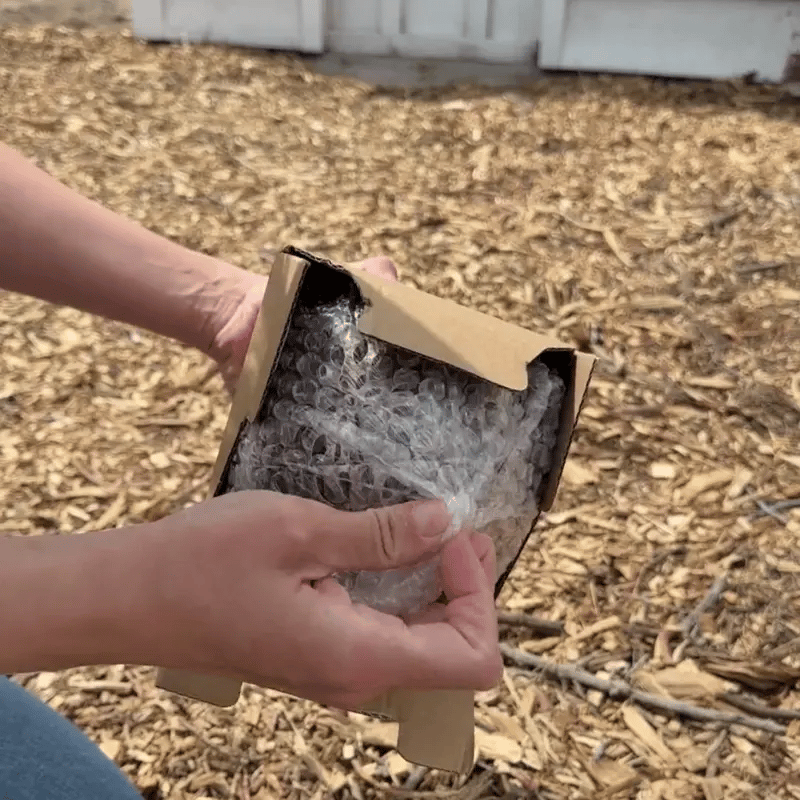 Lightdrop® | Solar-powered Garden Lighting