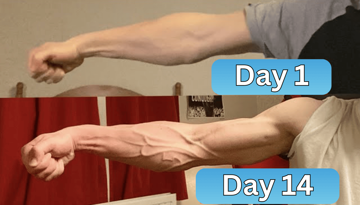 Poweredgear™ Power Ball