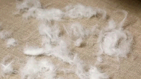 The Ezvac Pro Electric Air Duster & Vacuum