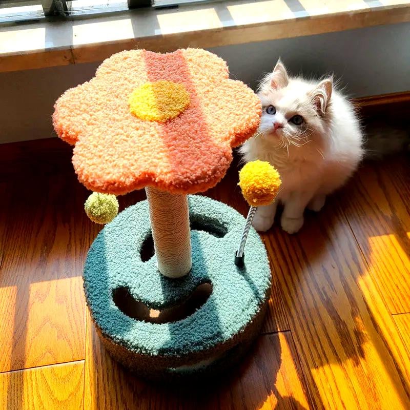 Cat Scratch Board For Claws - Animal Gadget