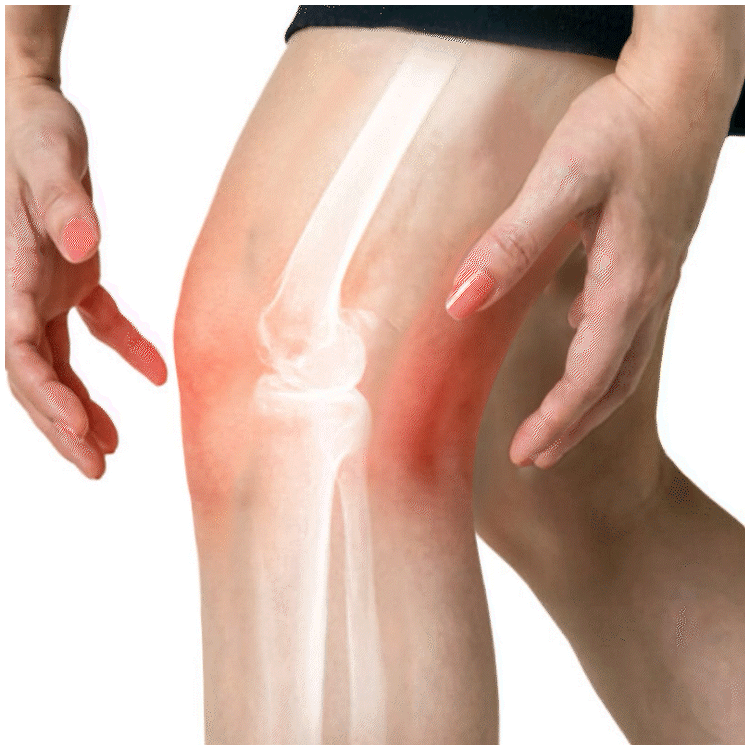 Thermafix™ - Hegnox