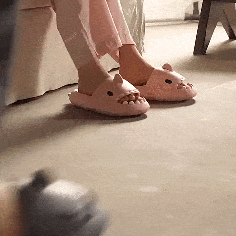 Shark Slides - Haven Collective