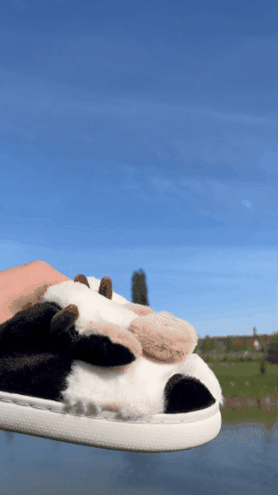 Milkstep - Milk Stepp