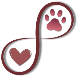 Petsoul Haven Pawprint Necklace For Ashes