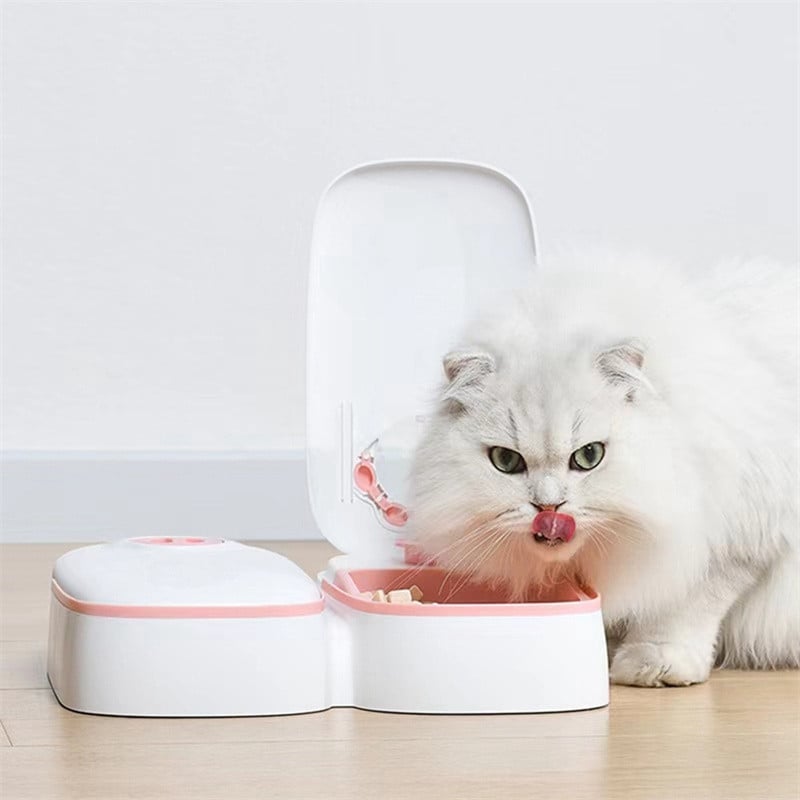 Automatic Pet Feeder Smart Food Dispenser For Cats Dogs Timer Stainless Steel Bowl Auto Dog Cat Pet Feeding Pets Supplies - Pethoopz
