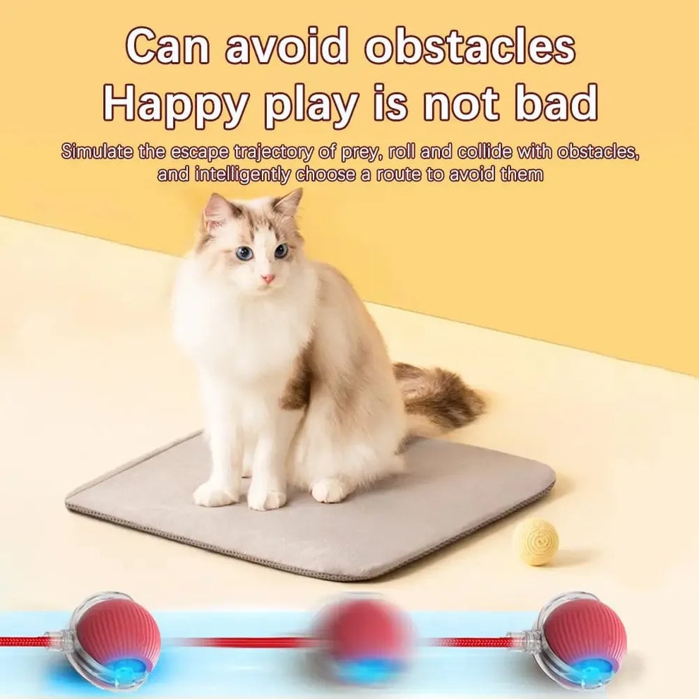 Interactive Cat & Dog Ball Toy