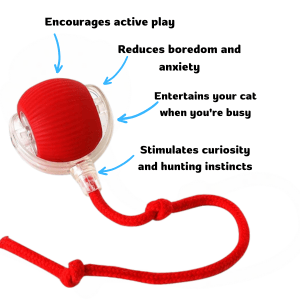 Purrjoy™ Automatic Smart Ball