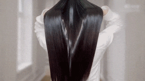 Hair Straightener Brush