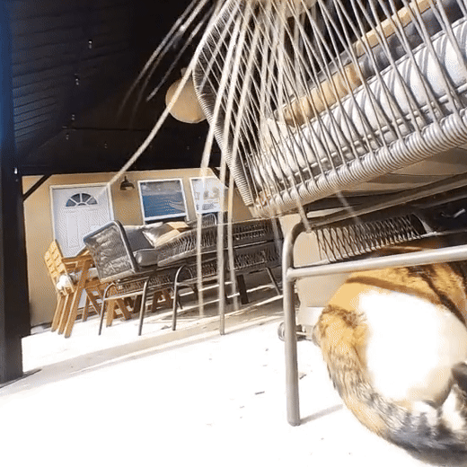 Blankocam - New #1 Smallest 4k Pov Camera