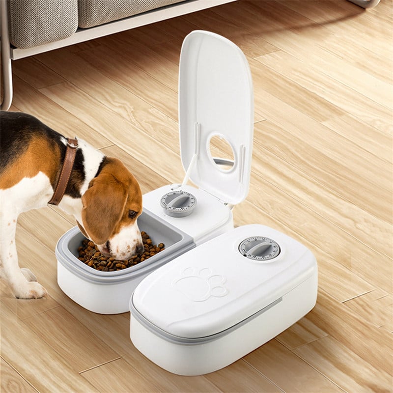 Automatic Pet Feeder Smart Food Dispenser For Cats Dogs Timer Stainless Steel Bowl Auto Dog Cat Pet Feeding Pets Supplies - Pethoopz