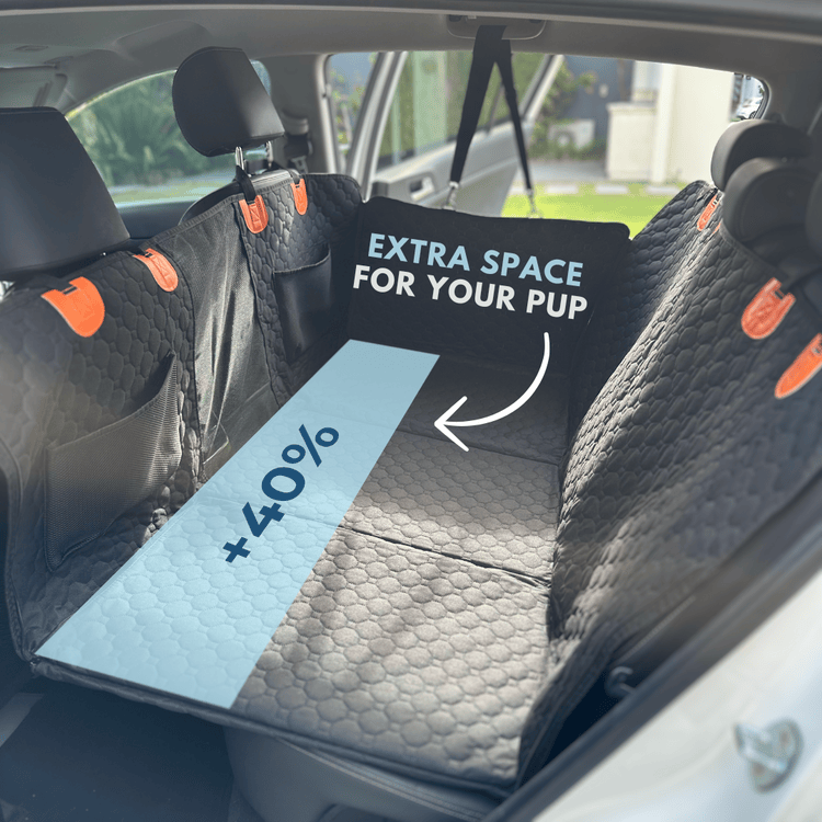 Hard Bottom Car Seat