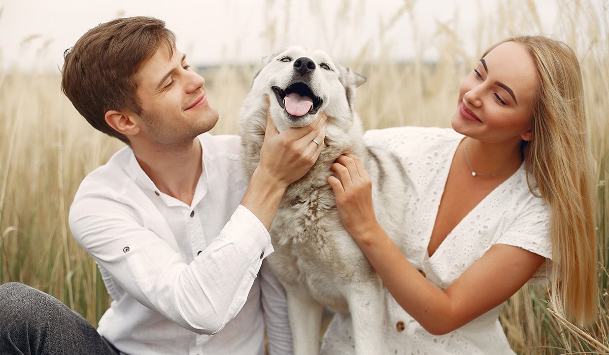 Intelligent Knee Massager Electric Knee Physiotherapy