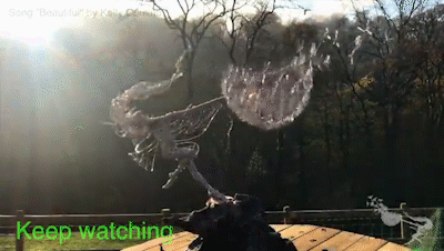 Wonderland - Like Garden Decoration