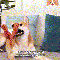 Indestructible Robust Dino - Dog Toy 2.0 Upgrade Version Sale Ends In 3 Hours / Buy 1 Get 1 Free Today Only