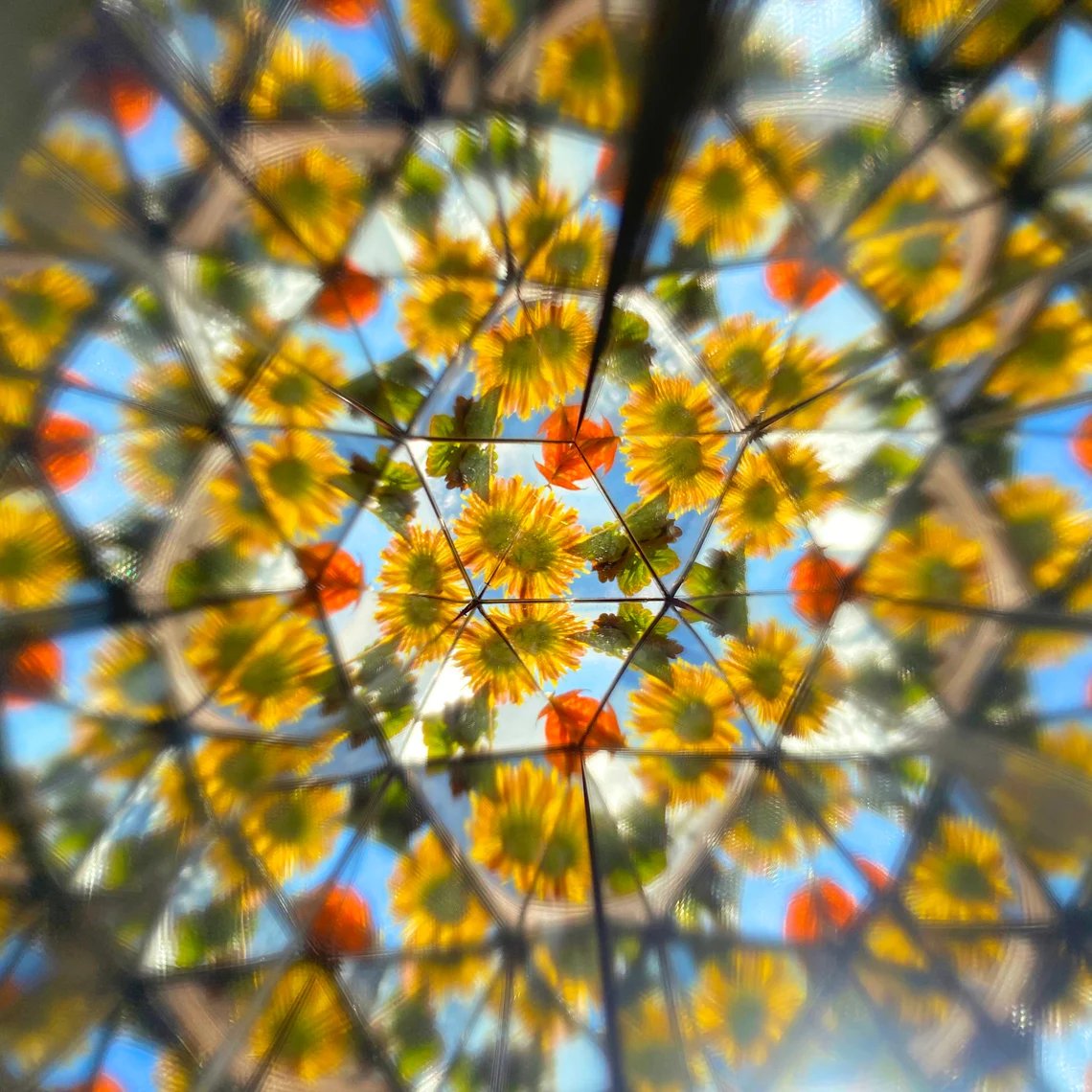 🔥The Best Gift——natural Wood Kaleidoscope