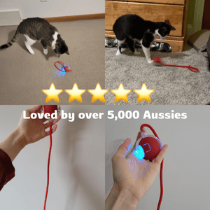Purrjoy™ Automatic Smart Ball