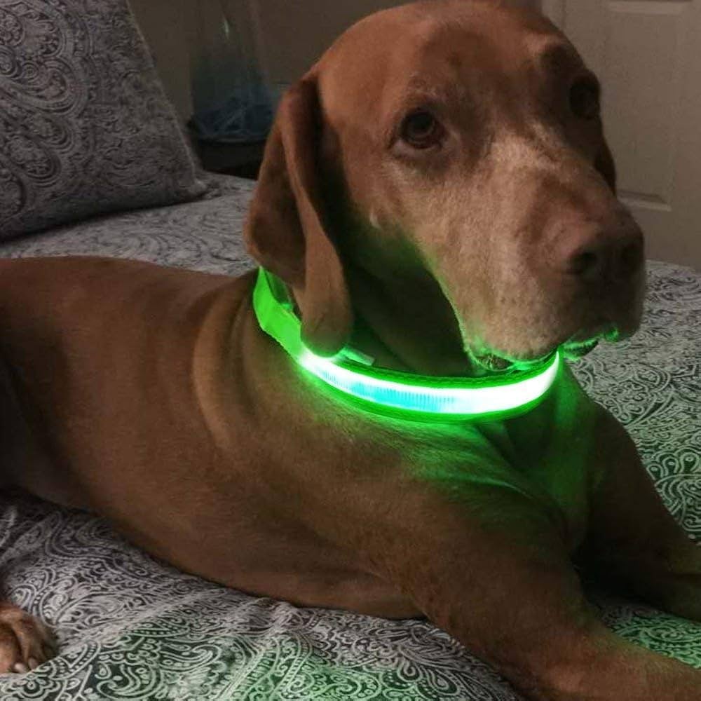 Petranest™ Led Dog Collar