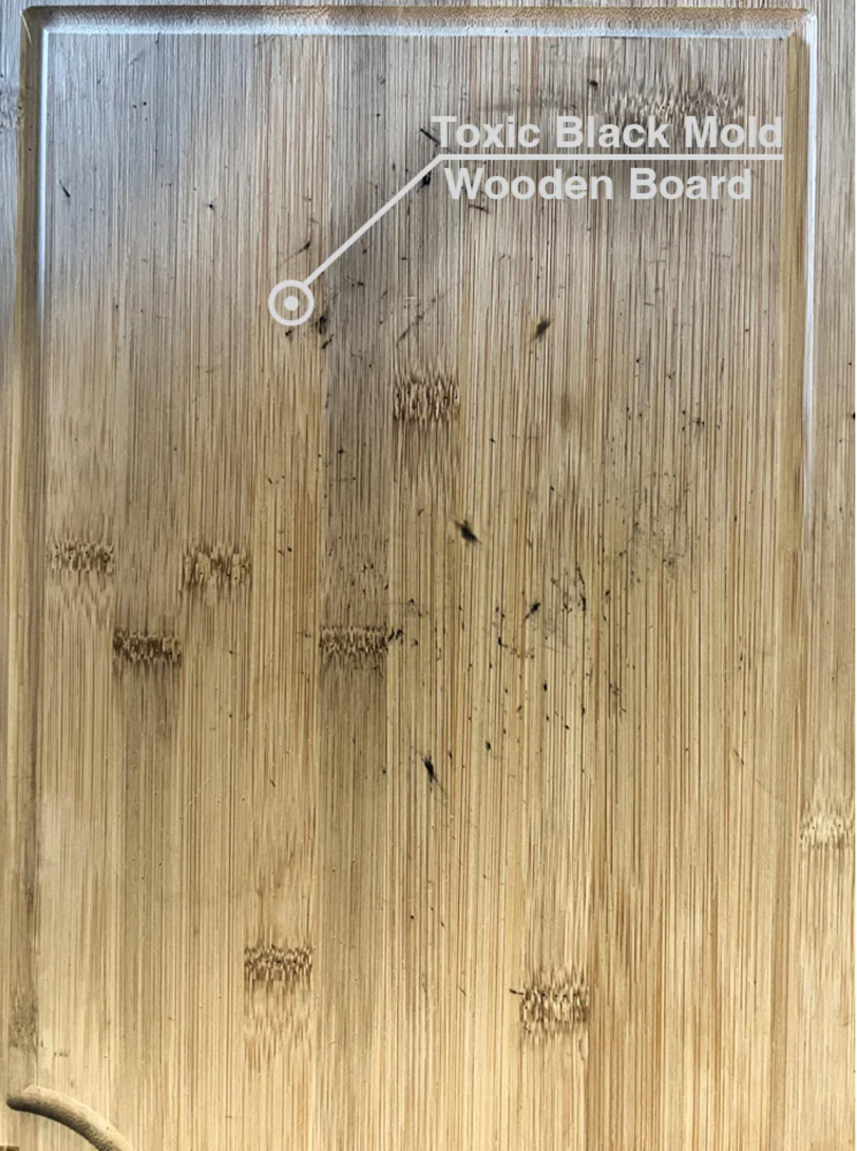 Original Taima™ 100% Pure Titanium Cutting Board