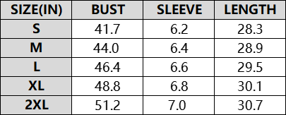 Ladies V-neck T-shirt