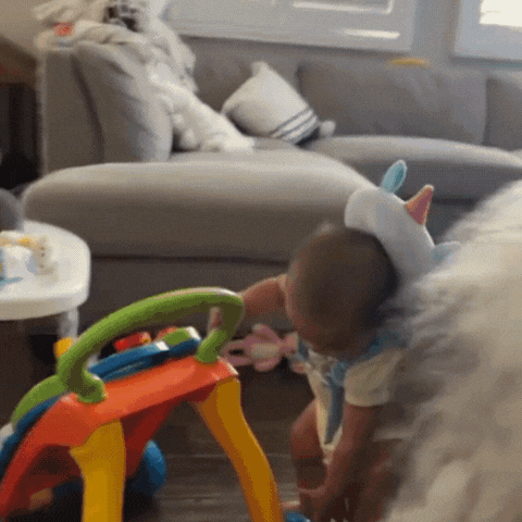 Haloguard – Last Day Sale Off 50%