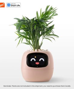 SmartGarden+ | Grow your plants at home